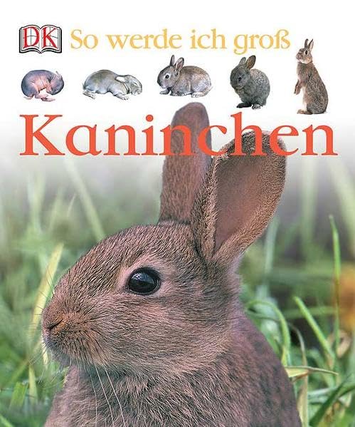 Product Image: Kaninchen