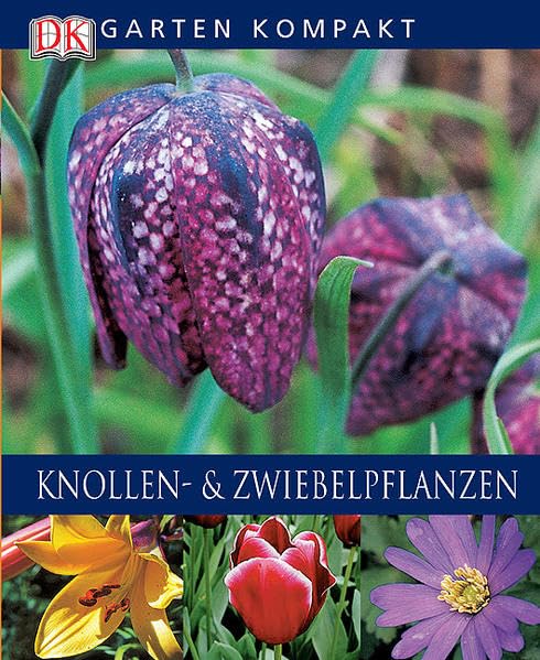 Knollen- und Zwiebelpflanzen Garden & Plants