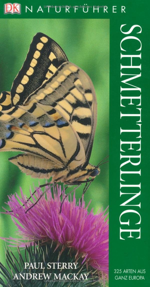 Schmetterlinge Leisure, Home & Garden