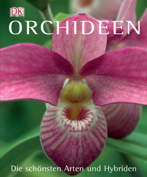 Orchideen: Die schönsten Arten und Hybriden Garden & Plants