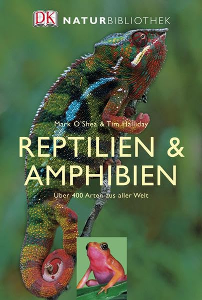 Reptilien und Amphibien Pets