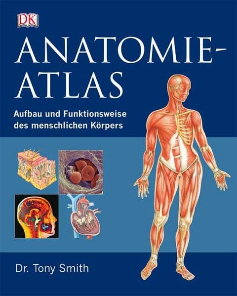 Anatomie-Atlas: Aufbau und Funktionsweise des menschlichen Körpers Medicine