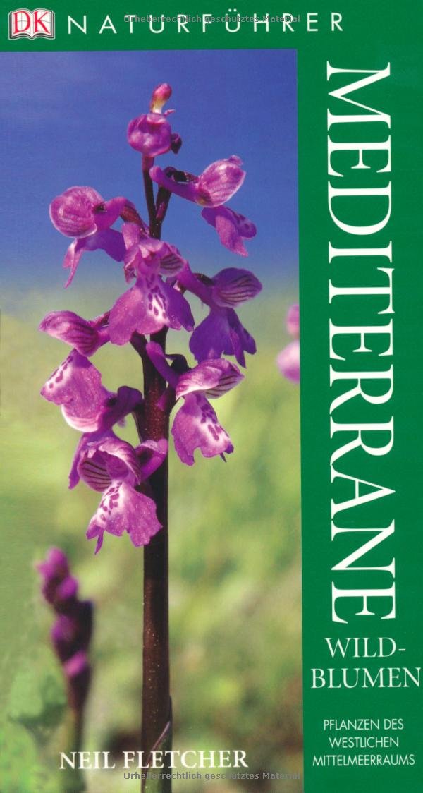 Mediterrane Wildblumen: Pflanzen des westlichen Mittelmeerraums Leisure, Home & Garden