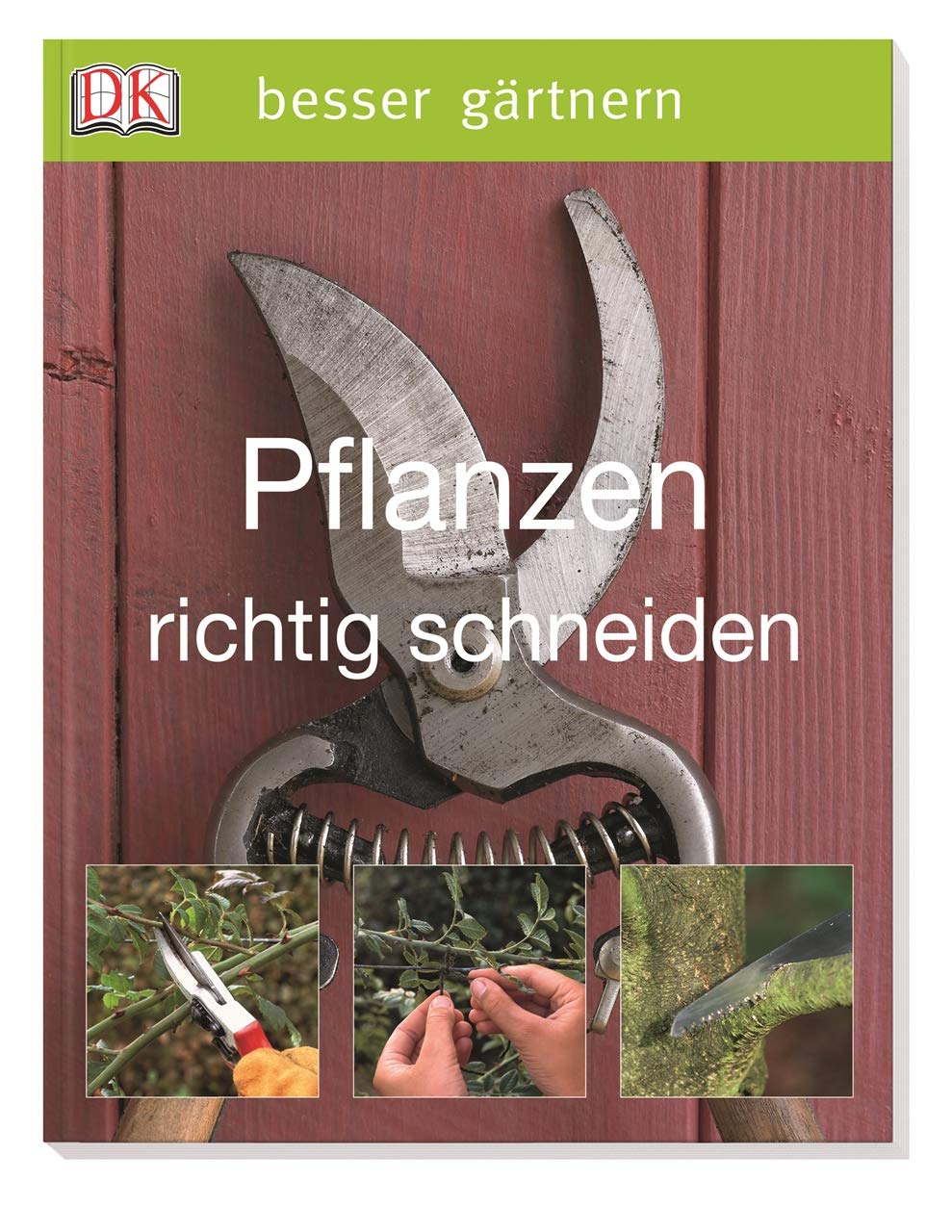 Pflanzen richtig schneiden Garden & Plants