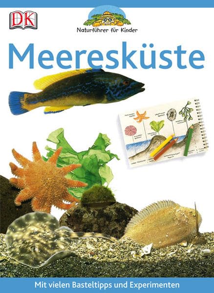 Meeresküste: Mit vielen Basteltipps und Experimenten Non-fiction