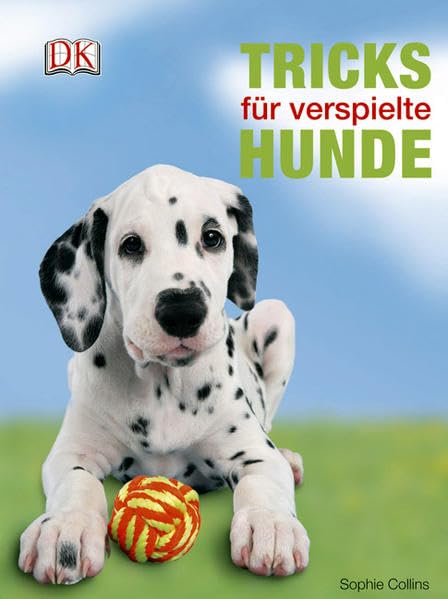 Tricks für verspielte Hunde Pets