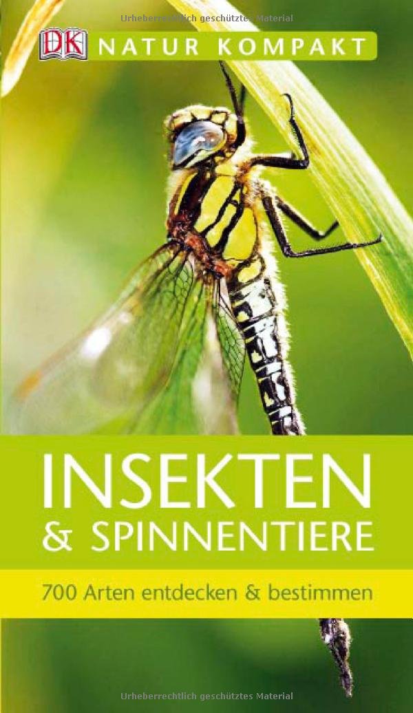 Product Image: Insekten & Spinnentiere