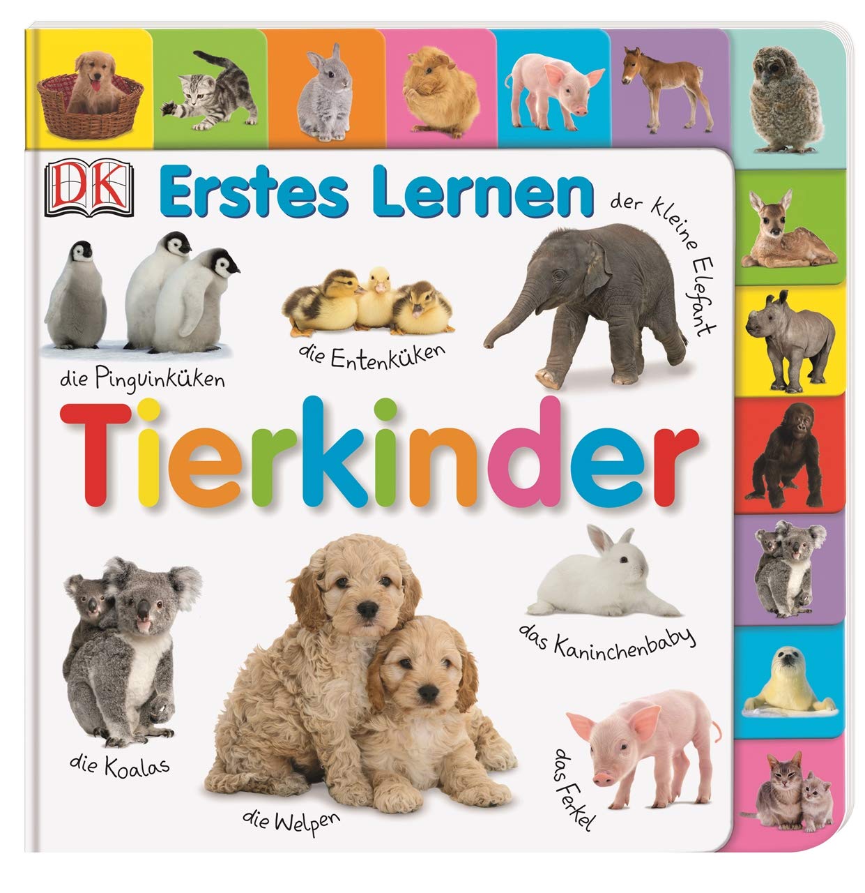 Erstes lernen Tierkinder Natural Sciences