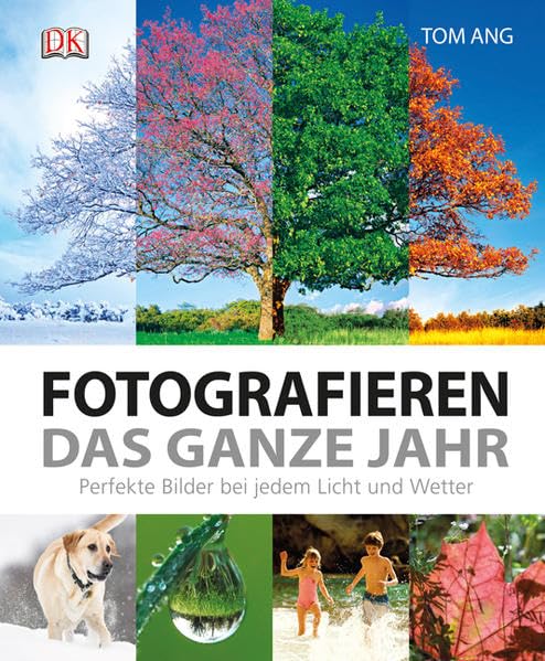 Fotografieren das ganze Jahr Photography