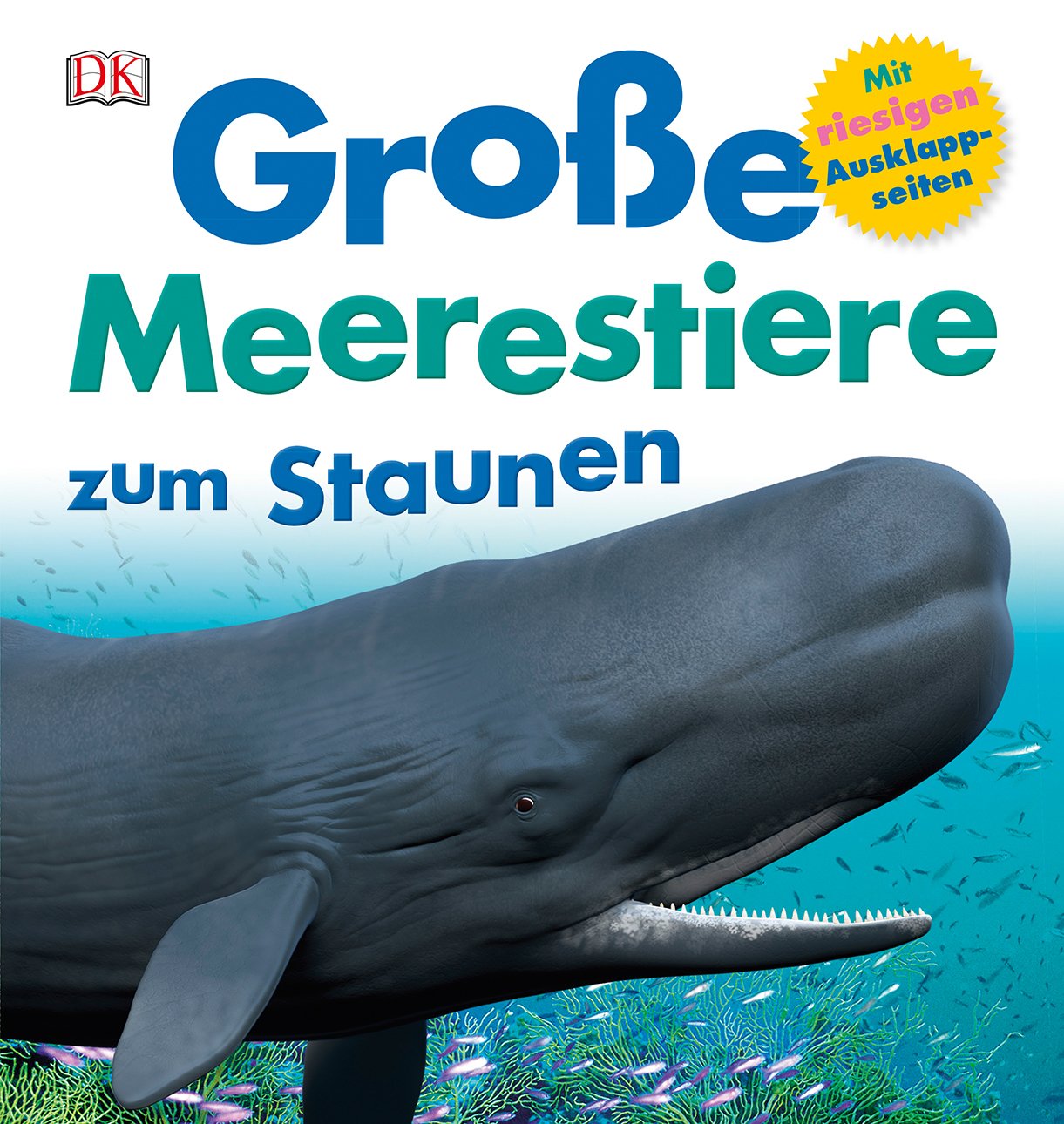 Große Meerestiere zum Staunen Non-fiction