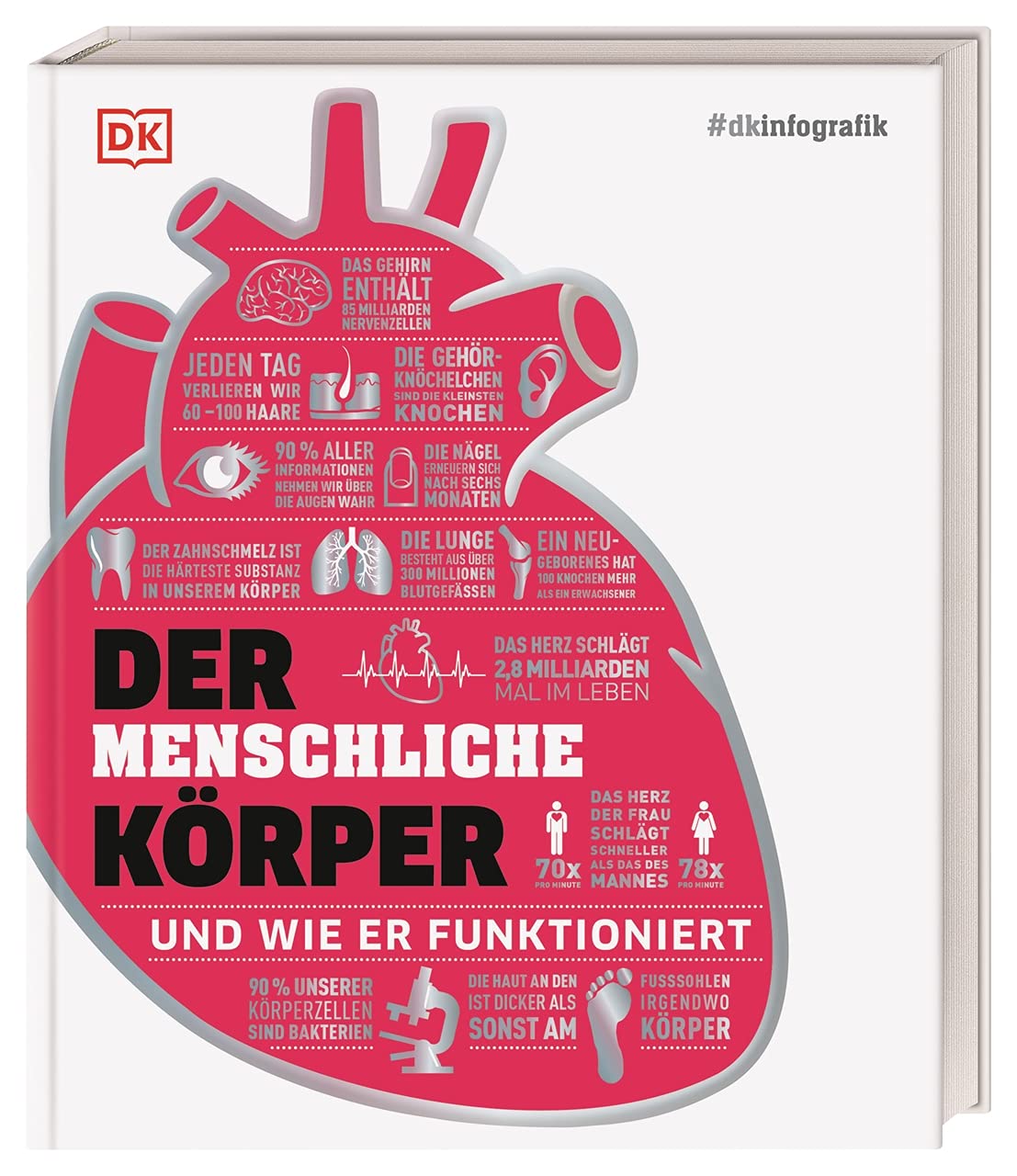 Product Image: Der menschliche Körper