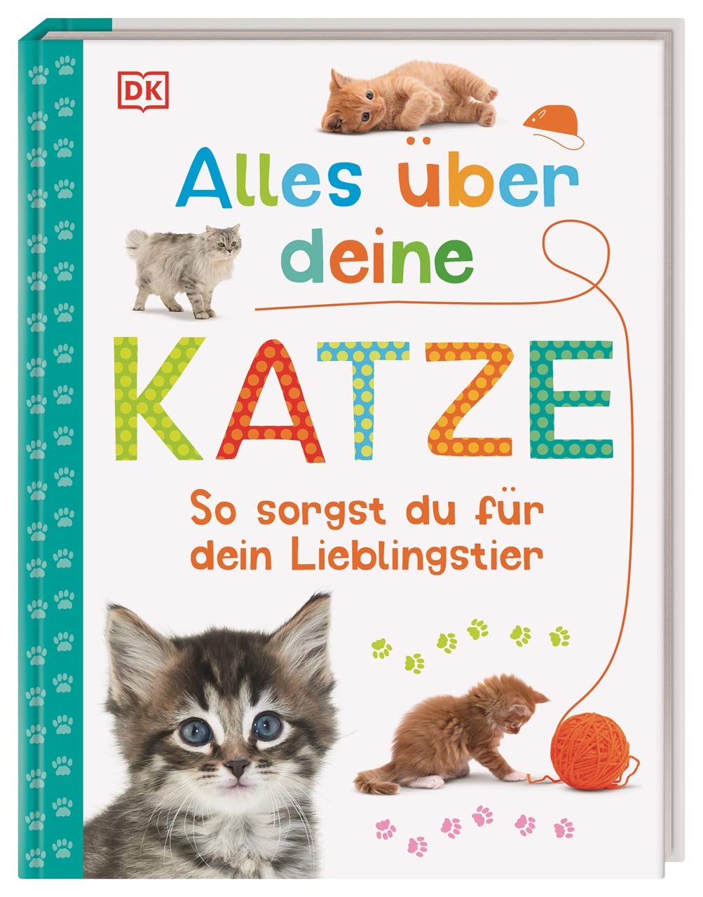 Alles über deine Katze Pets