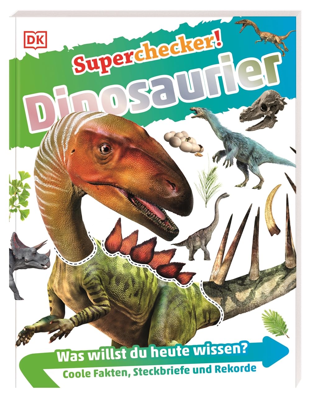 Superchecker! Dinosaurier Leisure, Home & Garden