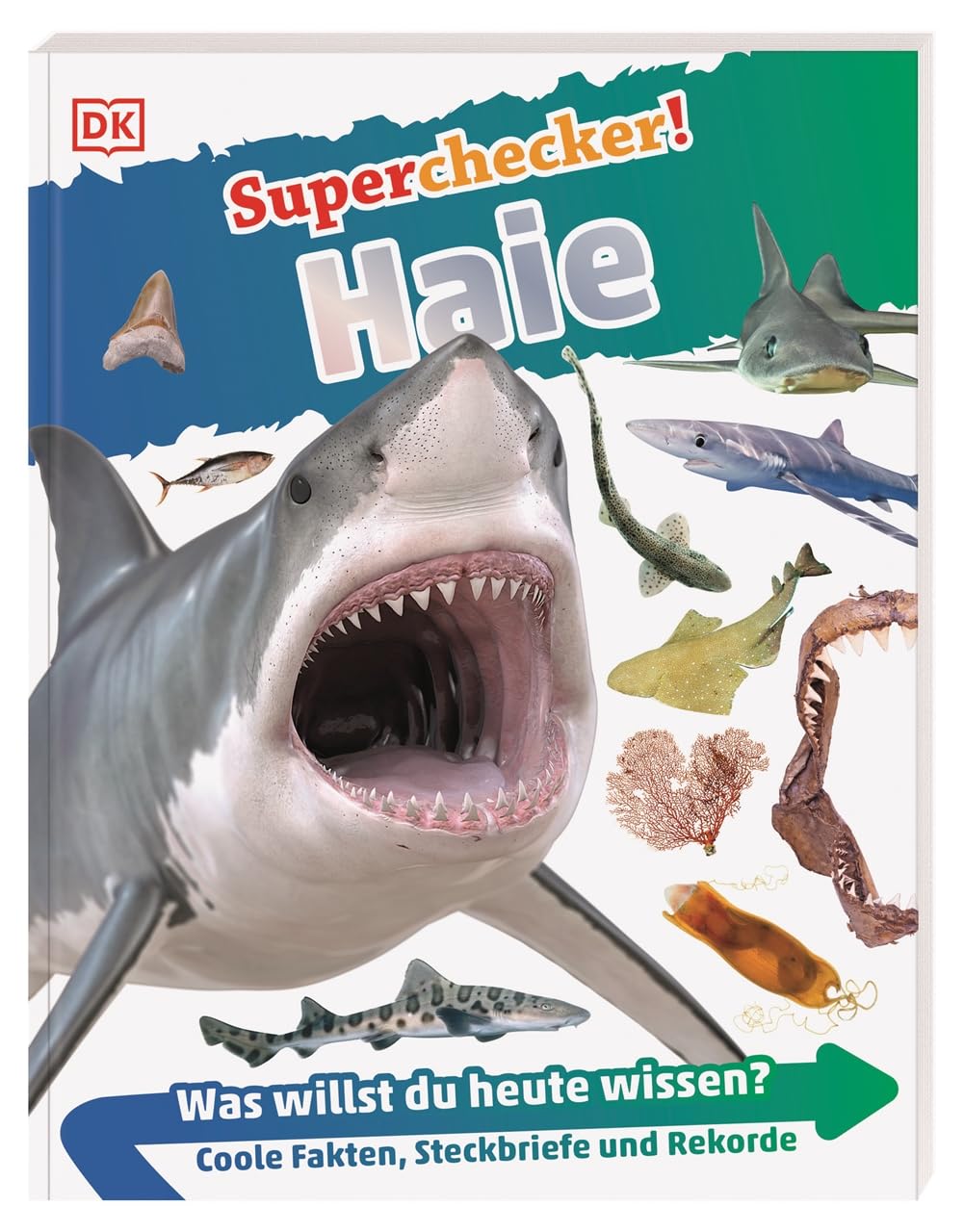 Superchecker! Haie General education