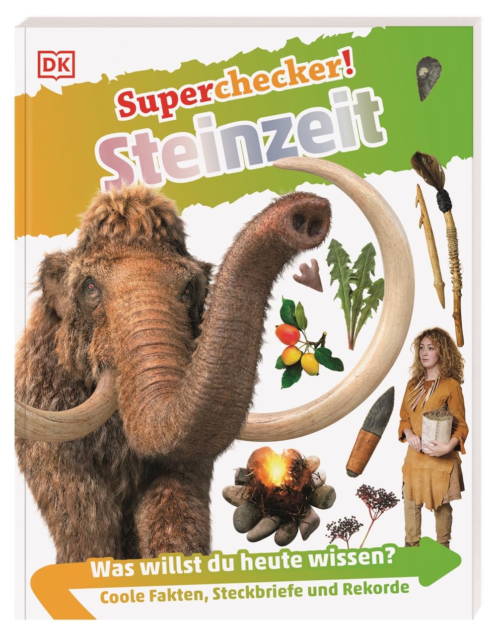Superchecker! Steinzeit General education Books