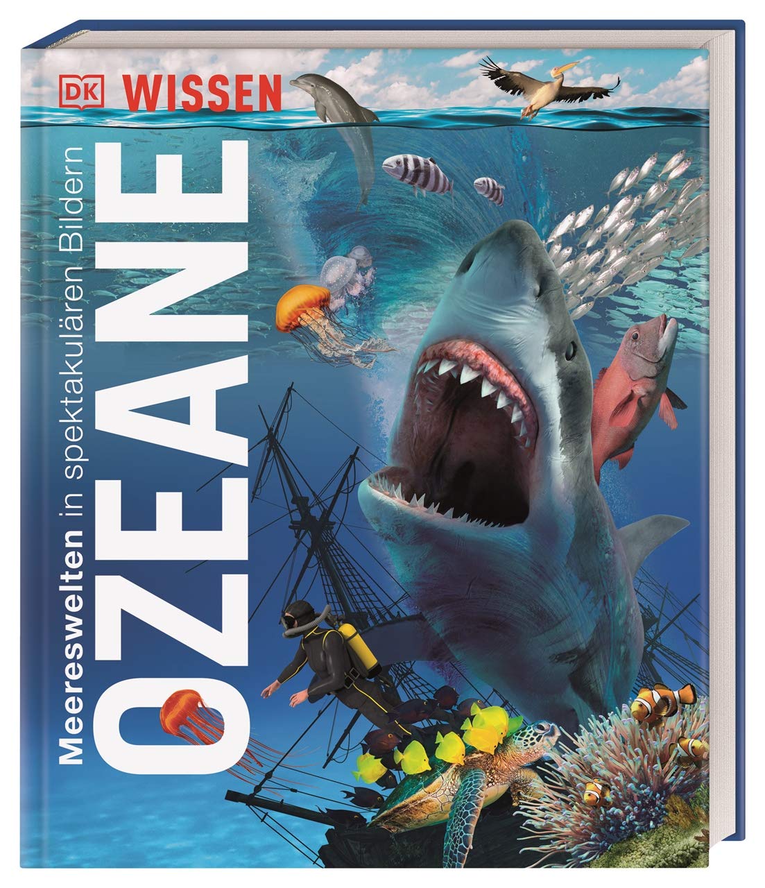 Product Image: DK Wissen. Ozeane