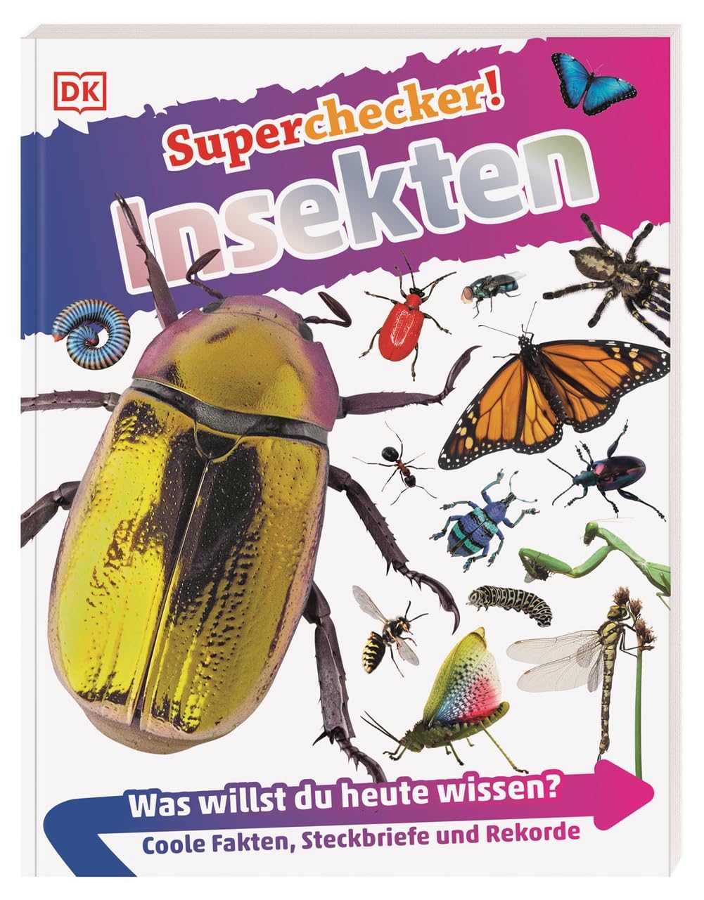 Product Image: Superchecker! Insekten