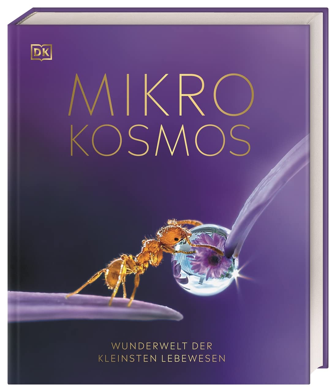 Mikrokosmos - Wunderwelt der kleinsten Lebewesen Medicine