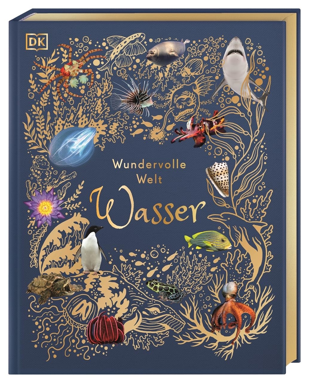 Product Image: Wundervolle Welt. Wasser