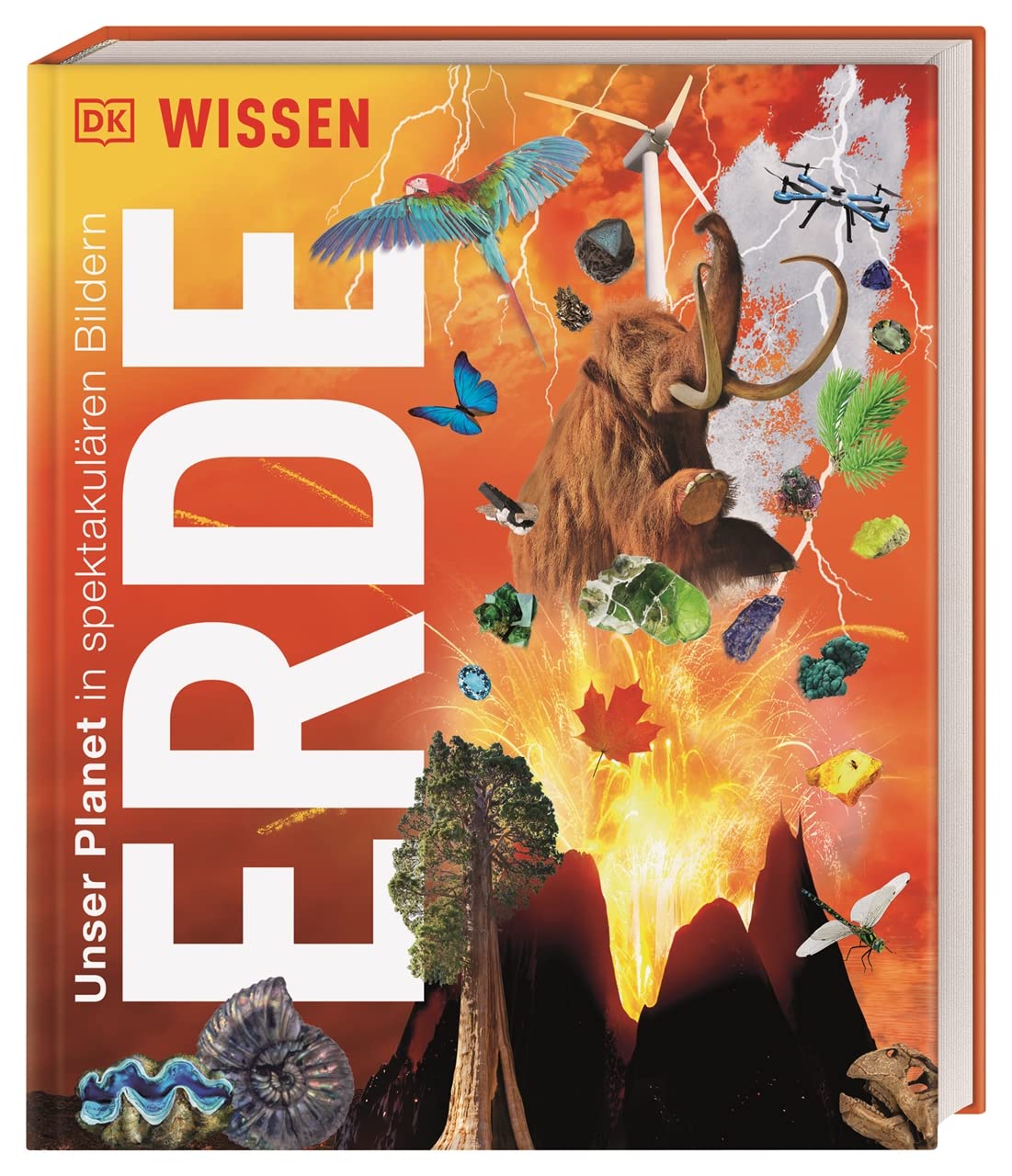 DK Wissen. Erde: Unser Planet in spektakulären Bildern. Für Kinder ab 8 Jahren General education