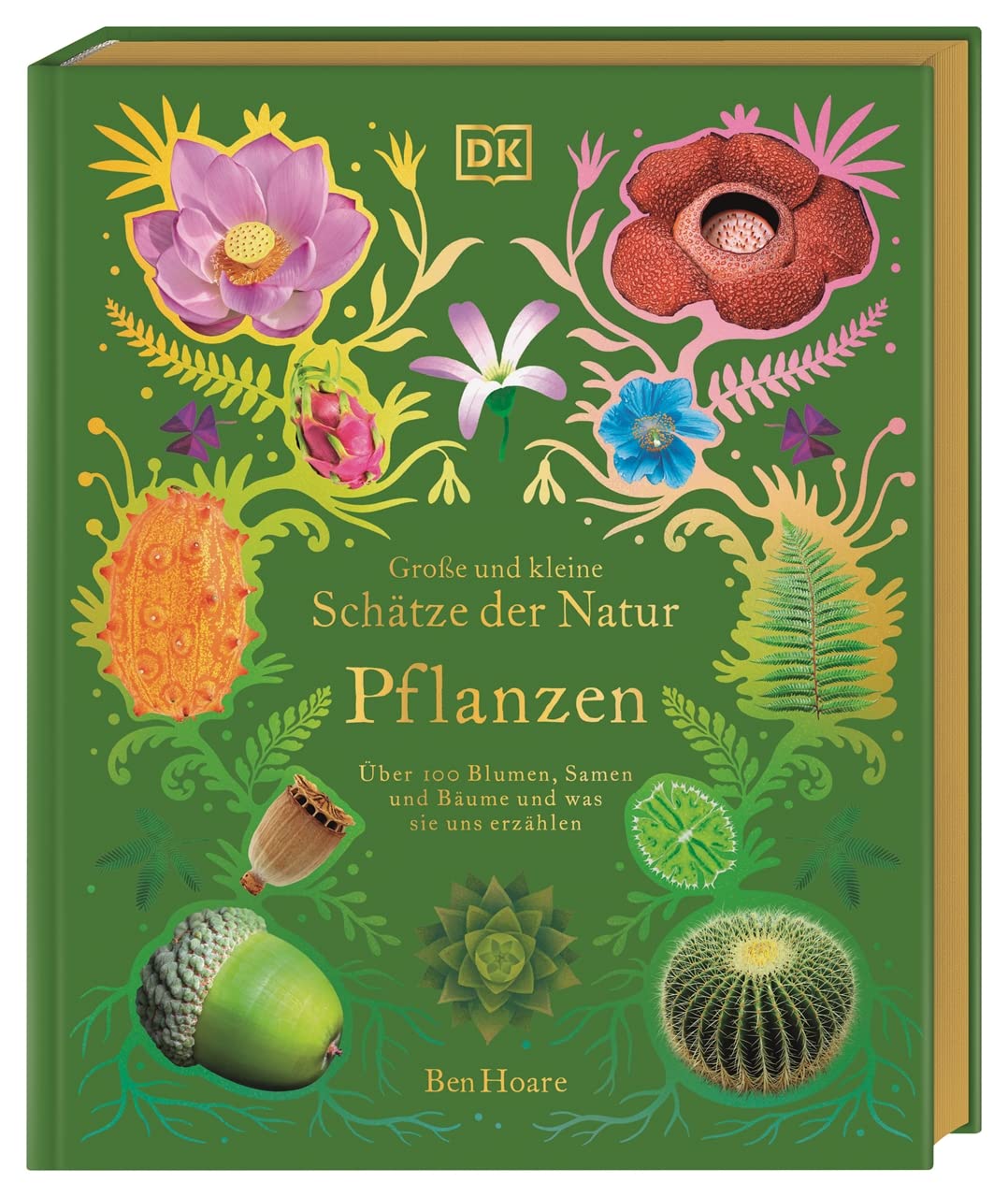 Große und kleine Schätze der Natur. Pflanzen Leisure, Home & Garden