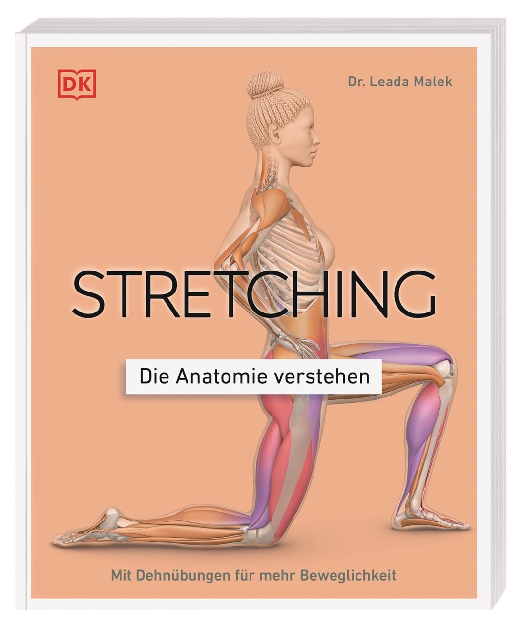 Stretching - Die Anatomie verstehen Medicine