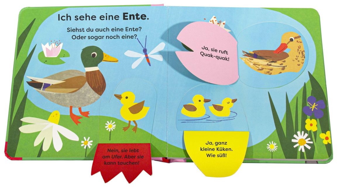 Mein erstes Natur-Entdeckerbuch. Da! Eine Ente Non-fiction