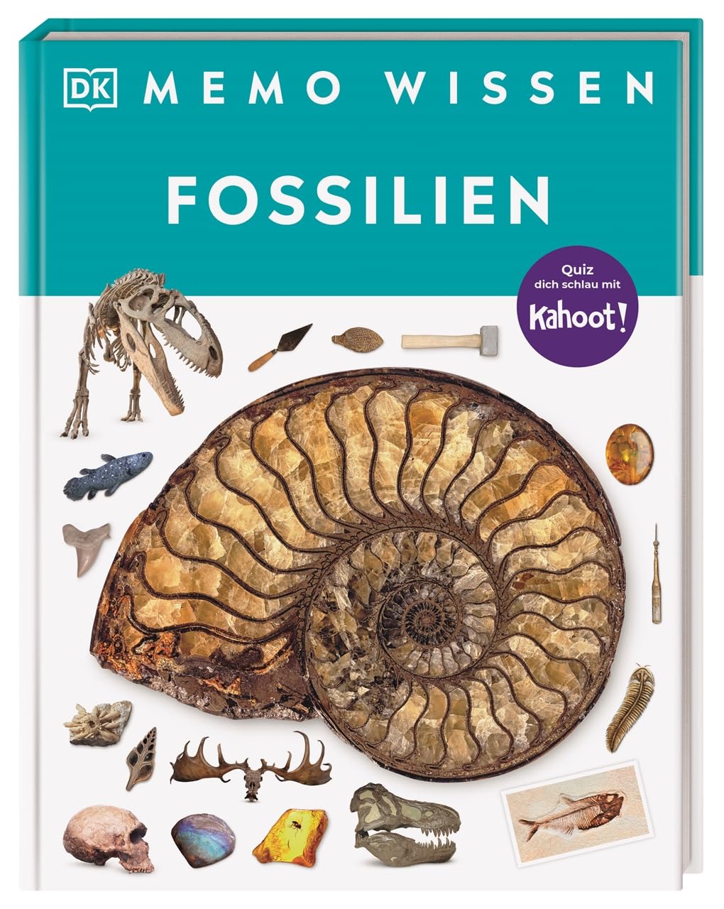 memo Wissen. Fossilien Leisure, Home & Garden