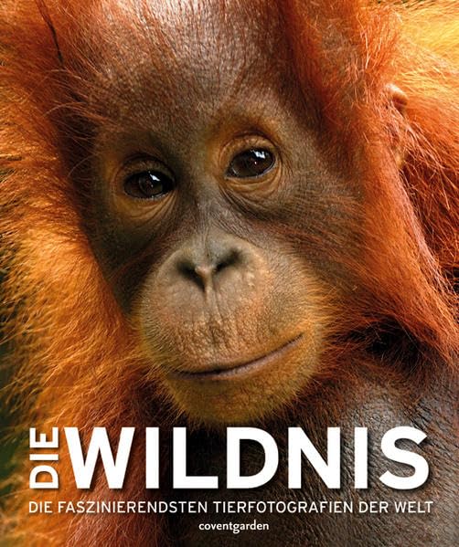 Die Wildnis: Die faszinierendsten Tierfotografien der Welt (Coventgarden) Leisure, Home & Garden