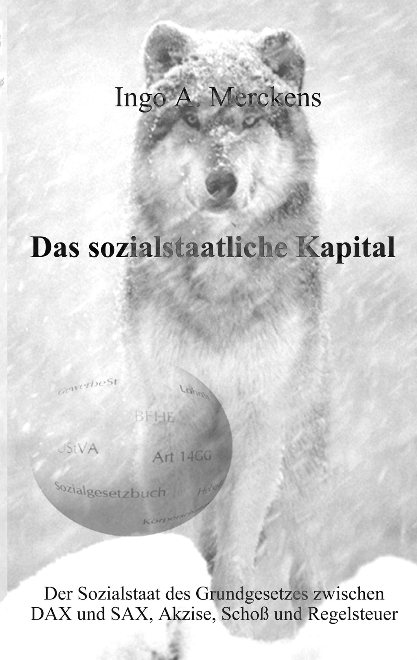 Das sozialstaatliche Kapital Law
