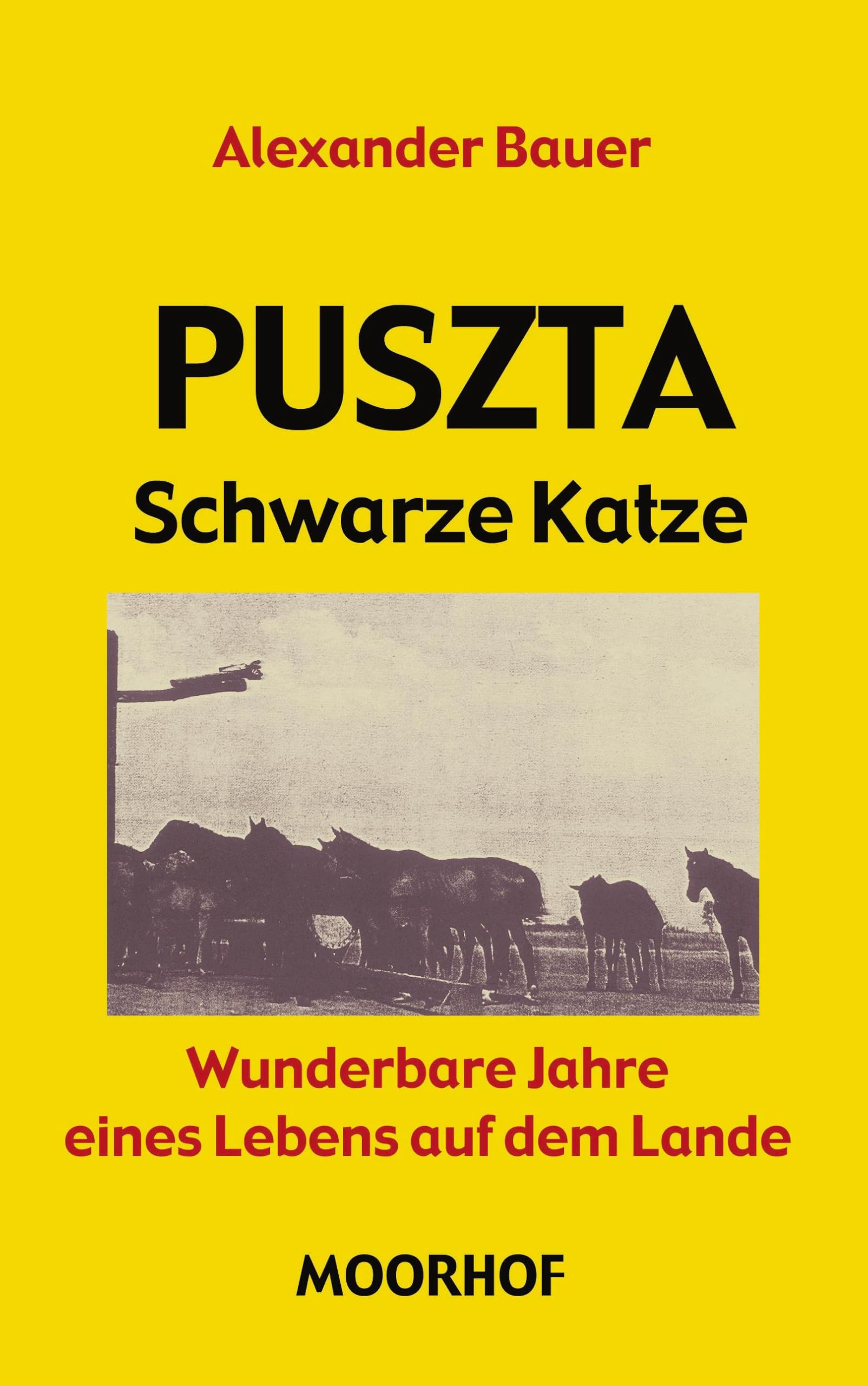 Puszta - schwarze Katze - wunderbare Jahre eines Lebens auf dem Lande Contemporary literature
