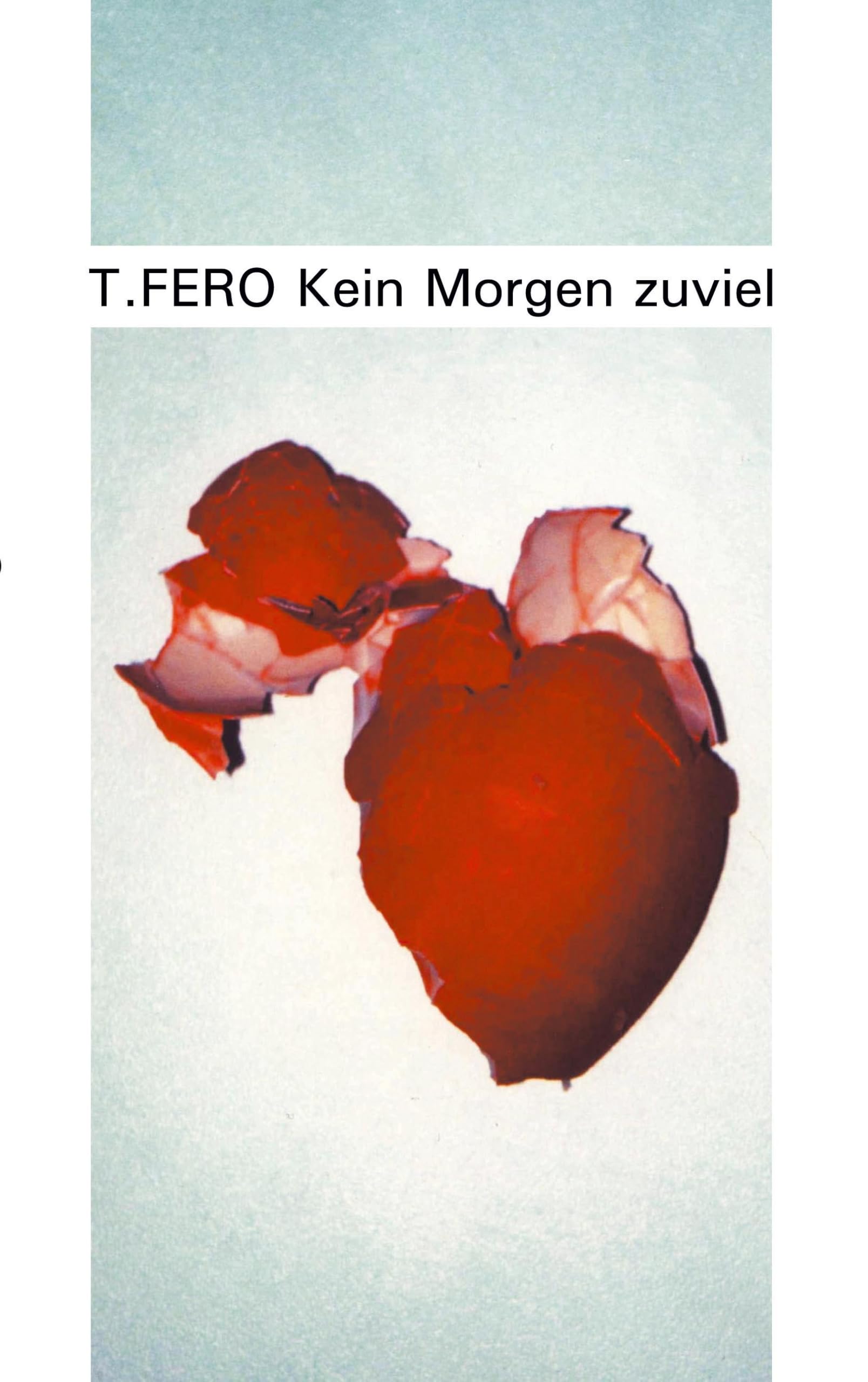 Kein Morgen zuviel Contemporary literature