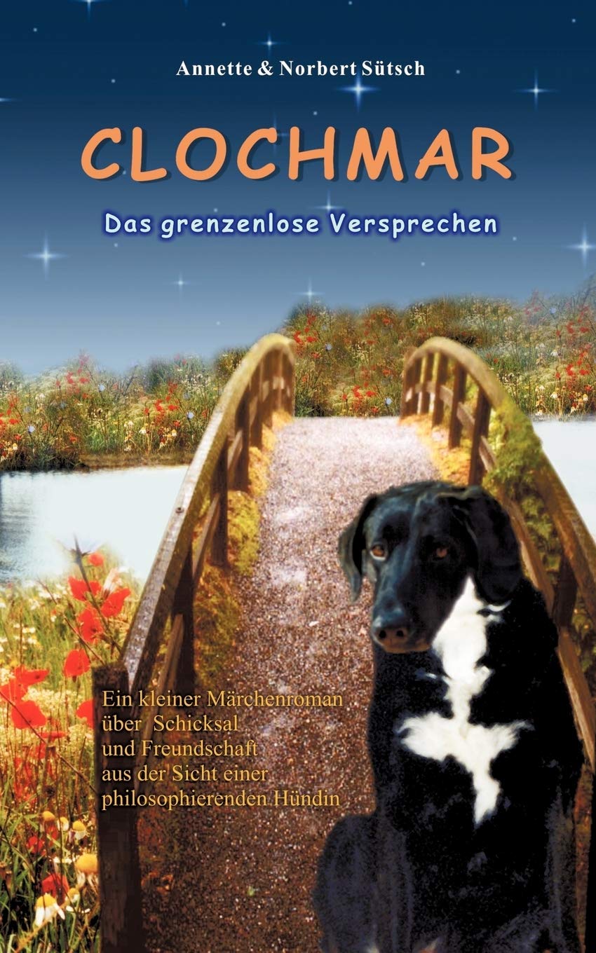 Clochmar-Das grenzenlose Versprechen Contemporary literature Books