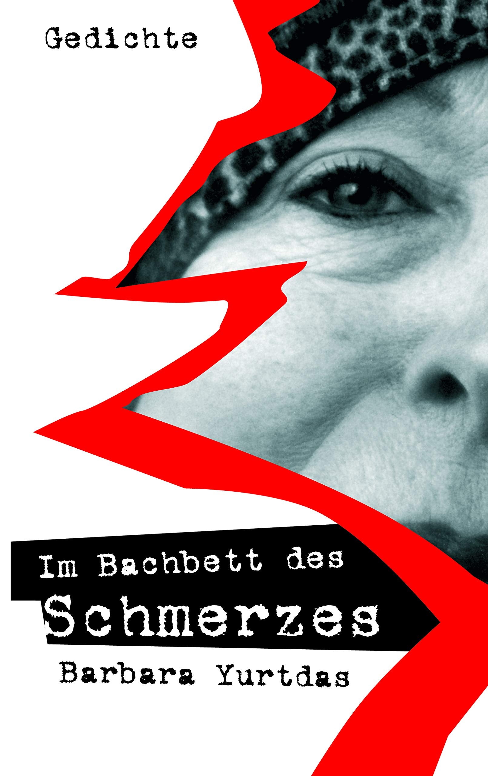 Im Bachbett des Schmerzes: Gedichte Poetry