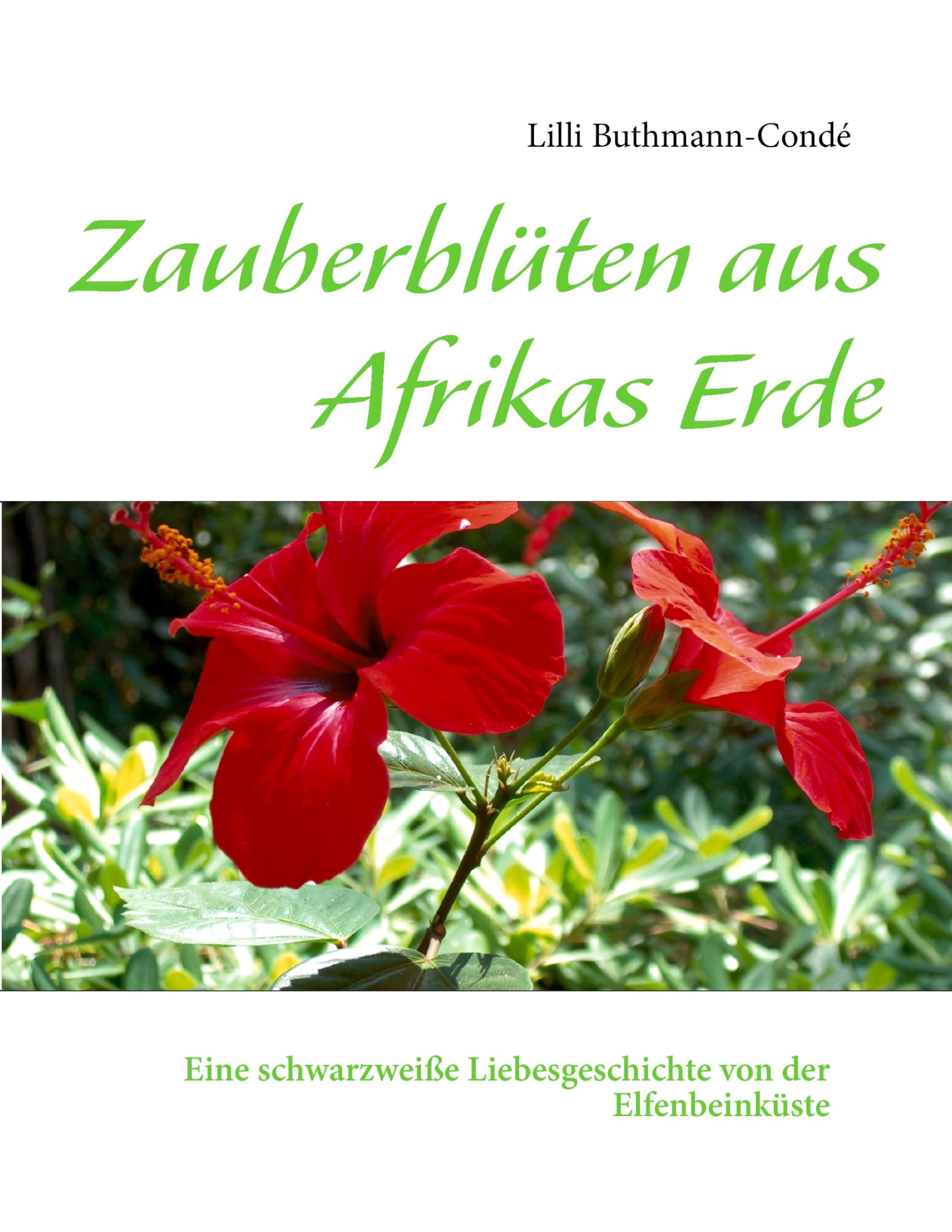 Zauberblüten aus Afrikas Erde: Eine schwarzweiße Liebesgeschichte von der Elfenbeinküste Contemporary literature