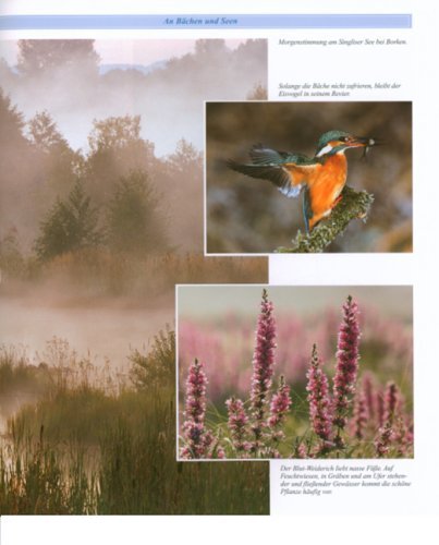 Naturerlebnis Nordhessen 2: Durch Wiesen, Weiher und Wälder: BD 2: Durch Weiher, Wiesen und Wälder Bd. II Politics & History