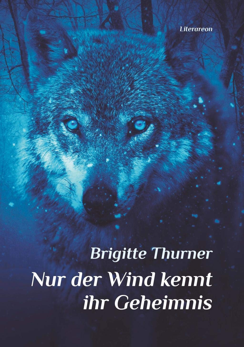 Nur der Wind kennt ihr Geheimnis Contemporary literature