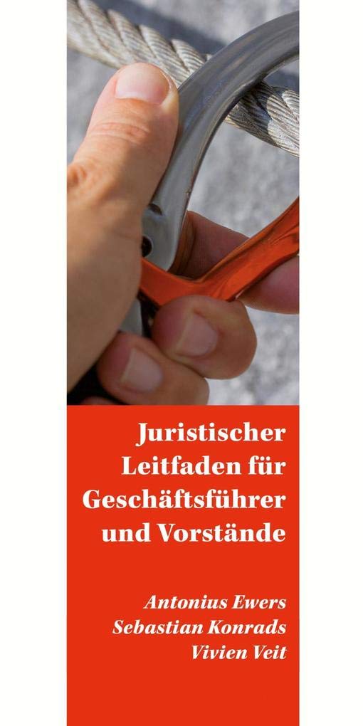 Juristischer Leitfaden für Geschäftsführer und Vorstände (Sachbuch) Law