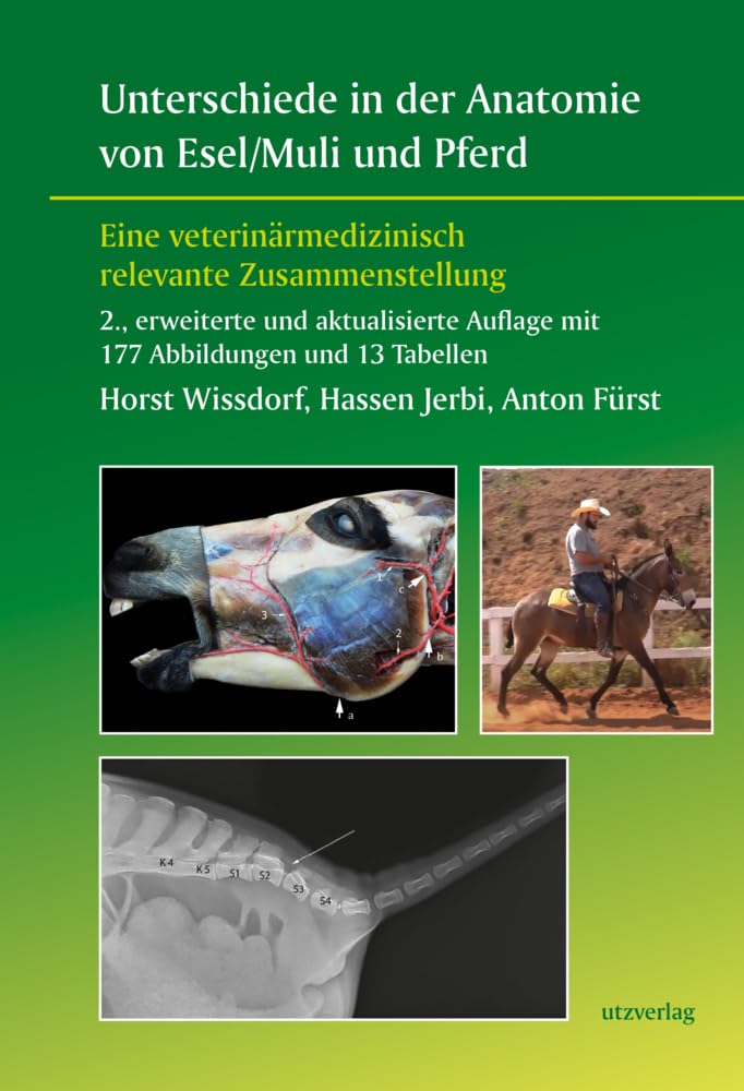 Unterschiede in der Anatomie von Esel/Muli und Pferd: Eine veterinärmedizinisch relevante Zusammenstellung Medicine