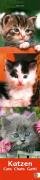 Katzen long 2007 Calendars