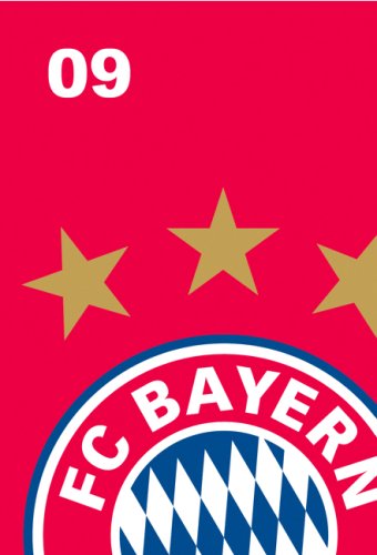 FC Bayern Schüleragenda A6 2009 Leisure & Fun