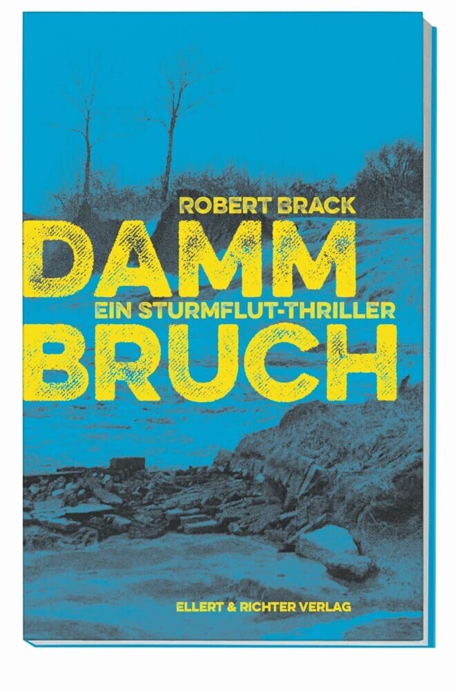 Dammbruch Contemporary literature Books