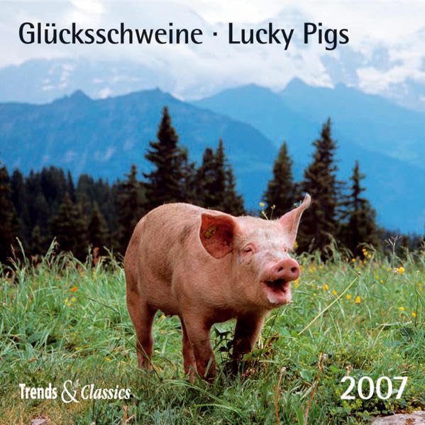 Glücksschweine - T&C 2007 Calendars