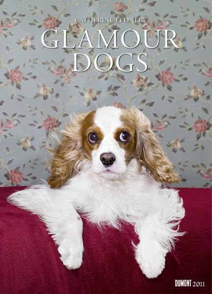 Glamour Dogs, Poster-Kalender 2011 Photography