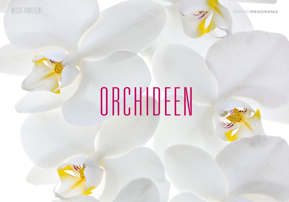 Orchideen - Magnum Kalender immerwährend Leisure, Home & Garden