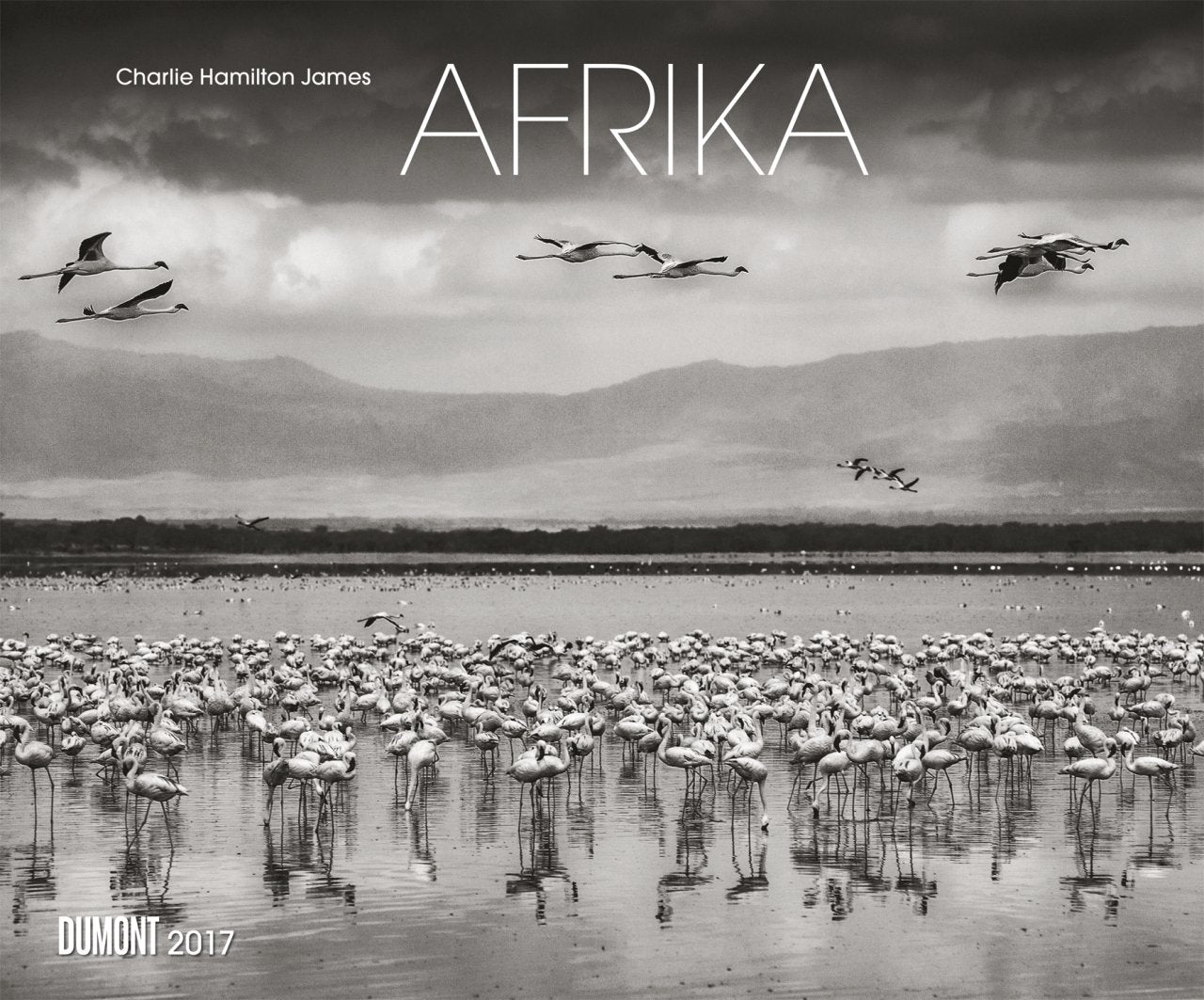 Afrika 2017 schwarz/weiß Naturaufnahmen Fotokalender Wandkalender 58,4 x 48,5 cm Querformat Leisure, Home & Garden