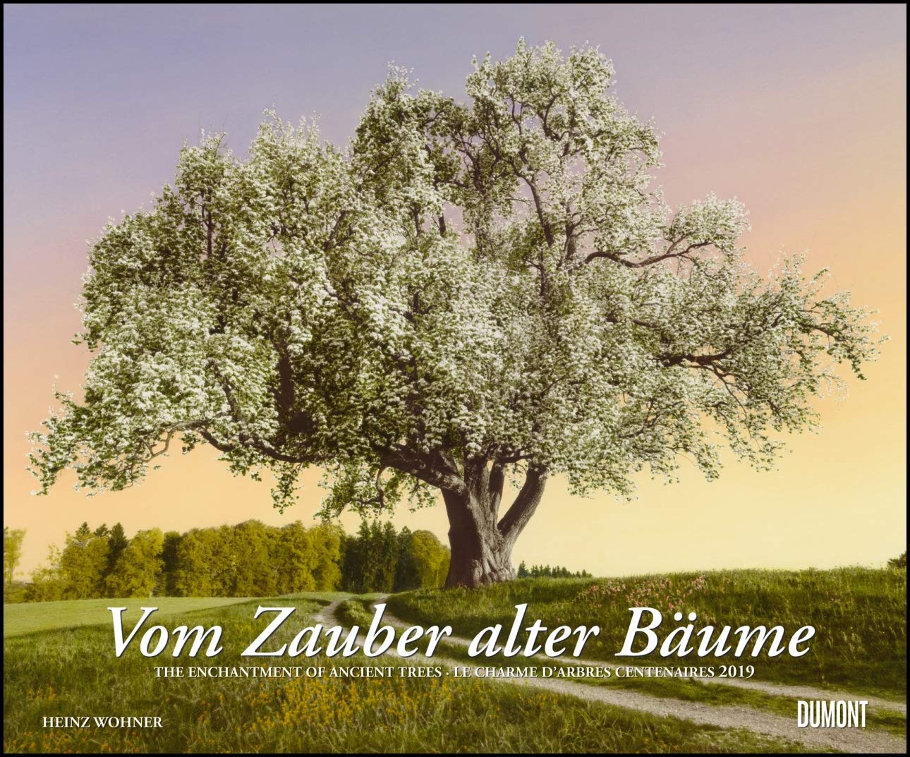 Vom Zauber alter Bäume 2019 – Foto-Kunst – Querformat 58,4 x 48,5 cm – Spiralbindung: The enchantment of ancient trees; Le charme d' arbres centenaires Leisure, Home & Garden