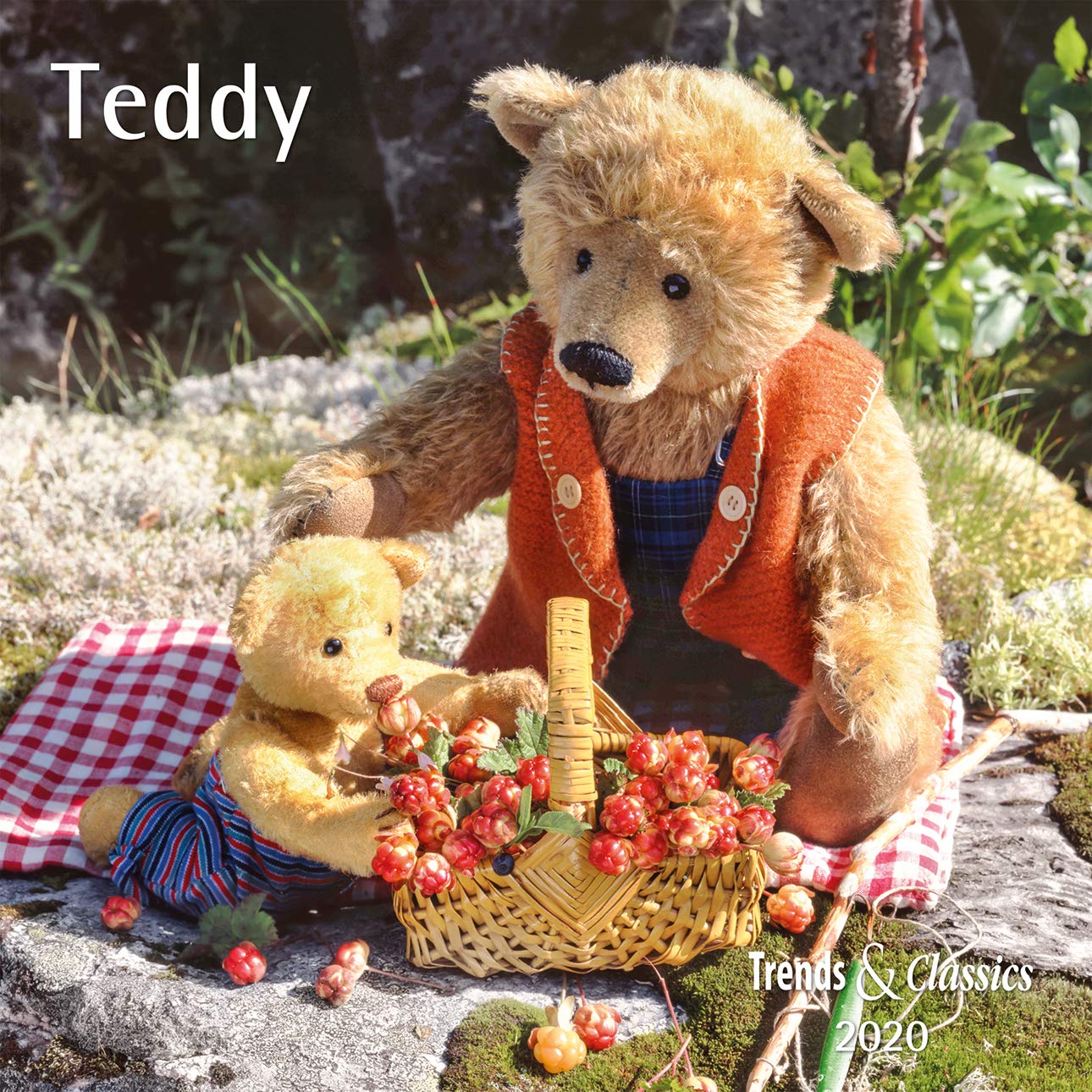 Teddy 2020 - Broschürenkalender - Wandkalender - mit herausnehmbarem Poster - Format 30 x 30 cm Hobbies & Crafts