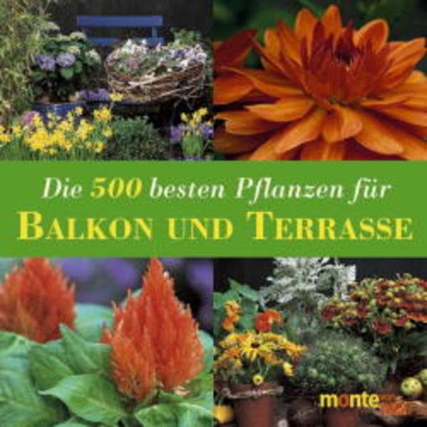 Die 500 besten Pflanzen für Balkon und Terrasse: Kübelpflanzen, Rosen, Kletterpflanzen, Kräuter, Gemüse, Obst Garden & Plants