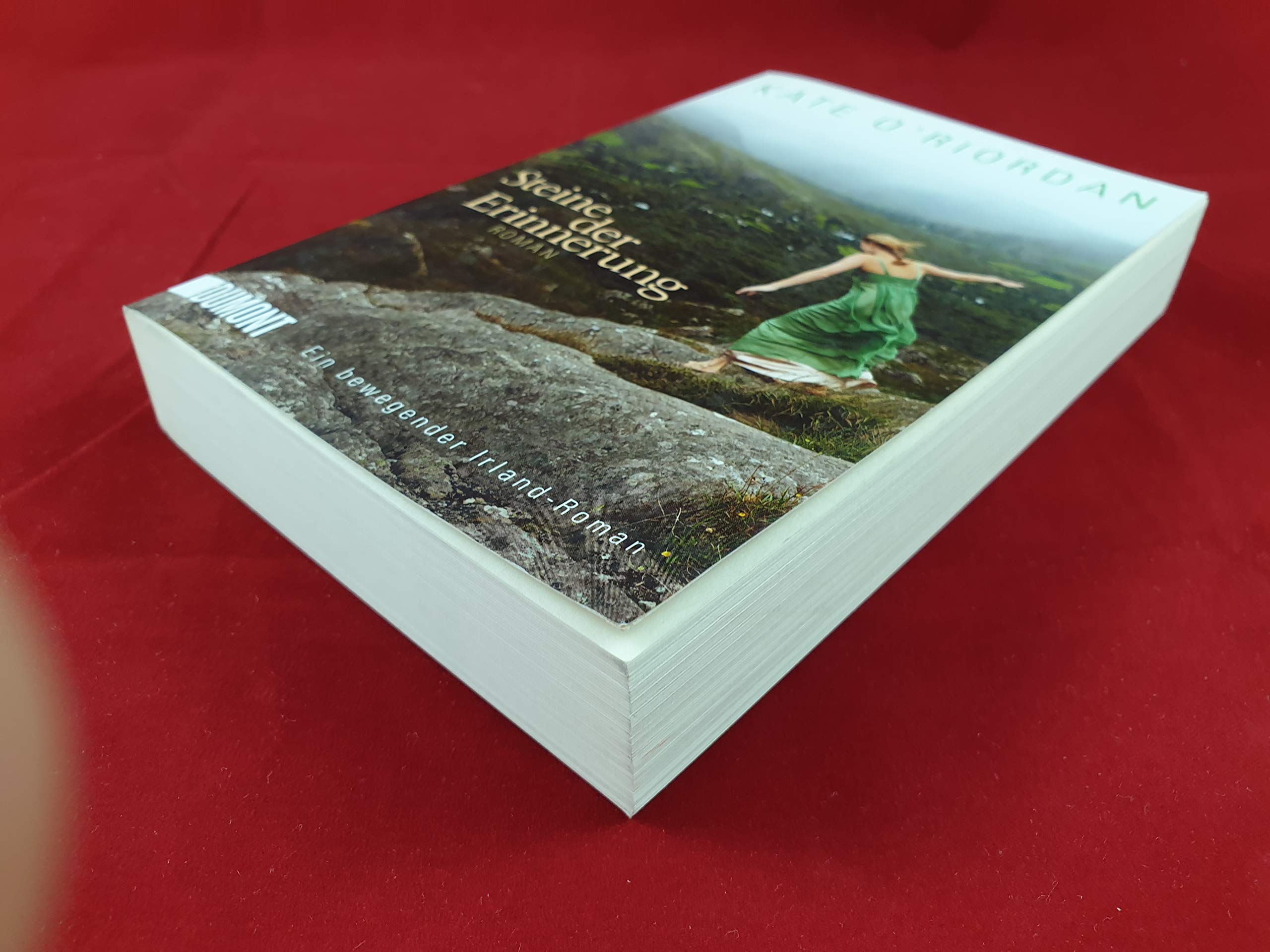 Steine der Erinnerung: Roman Contemporary literature